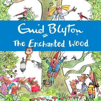 Download Enchanted Wood: Book 1 by Enid Blyton