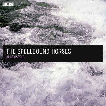 The Spellbound Horses: A BBC Radio 4 dramatisation