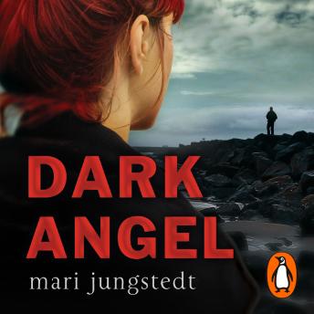 Dark Angel: Anders Knutas series 6 sample.