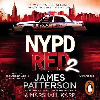 NYPD Red 2: A vigilante killer deals out a deadly type of justice sample.