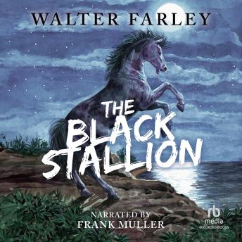 Download Black Stallion by Walter Farley