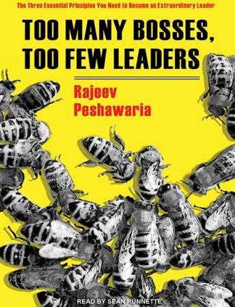Too Many Bosses, Too Few Leaders: The Three Essential Principles You Need to Become an Extraordinary Leader, Rajeev Peshawaria