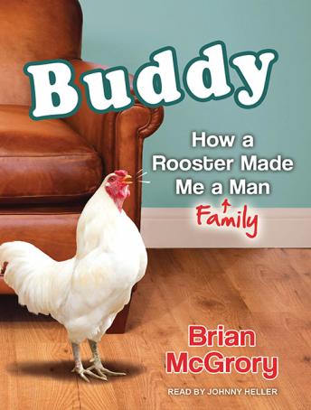Buddy: How a Rooster Made Me a Family Man