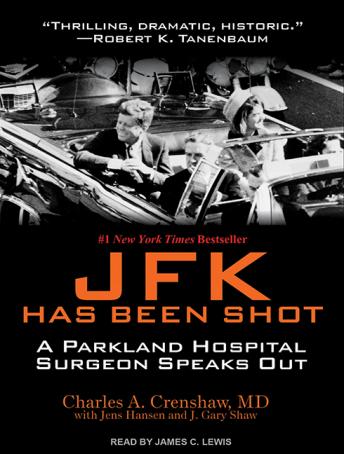 JFK Has Been Shot sample.