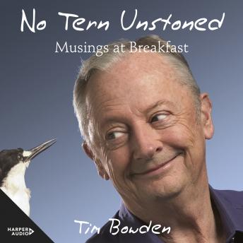 No Tern Unstoned: Musings at Breakfast