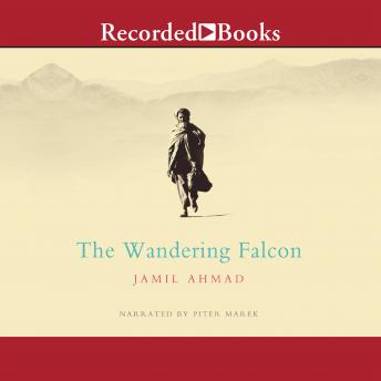 Wandering Falcon, Jamil Ahmad
