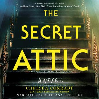The Secret Attic: A Novel