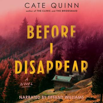 Before I Disappear: A Novel