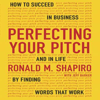 Perfecting Your Pitch: How to Succeed in Business and Life by Finding Words That Work