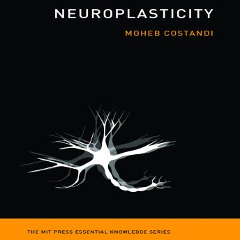 Neuroplasticity, Audio book by Moheb Costandi