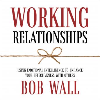 Working Relationships: Using Emotional Intelligence to Enhance Your Effectiveness with Others (Revised)