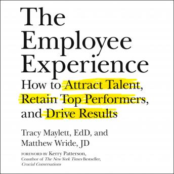 The Employee Experience: How to Attract Talent, Retain Top Performers, and Drive Results