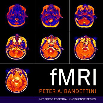 fMRI, Audio book by Peter A. Bandettini
