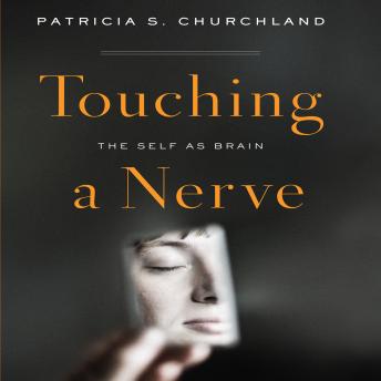 Touching a Nerve: The Self As Brain