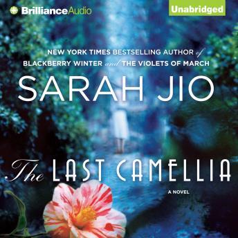 Download Last Camellia: A Novel by Sarah Jio