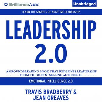 Leadership 2.0 sample.