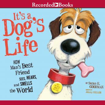 It's a Dog's Life: How Man's Best Friend Sees, Hears, and Smells the World