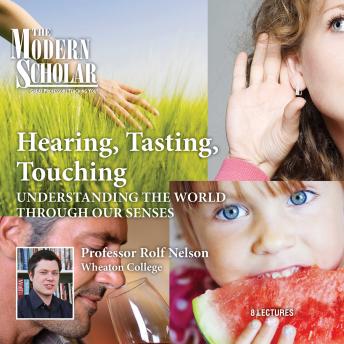 Hearing, Tasting, Touching: Understanding the World Through Our Senses, Rolf Nelson