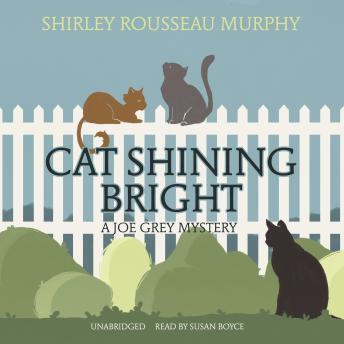 Download Cat Shining Bright: A Joe Grey Mystery by Shirley Rousseau Murphy