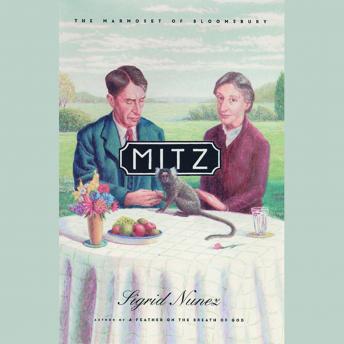 Listen Free To Mitz The Marmoset Of Bloomsbury By Sigrid Nun