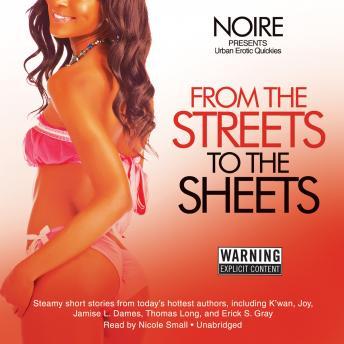 Download From the Streets to the Sheets: Urban Erotic Quickies by Noire