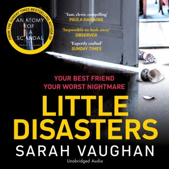 Little Disasters: A compelling and thought-provoking novel from the author of the Sunday Times bestseller Anatomy of a Scandal