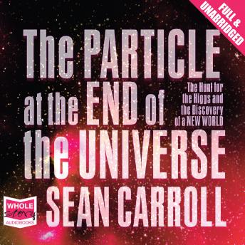 Download Particle at the End of the Universe by Sean Carroll