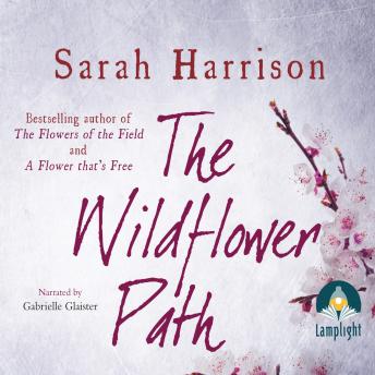 The Wildflower Path