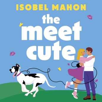 The Meet Cute: The must-read hilarious, heartwarming and uplifting debut Irish rom-com for 2026!