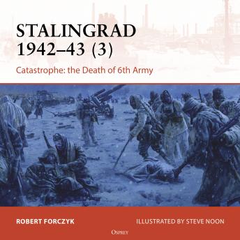 Osprey Campaign Series: Stalingrad 1942-43 (3): Catastrophe: the Death of 6th Army