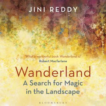 Wanderland: SHORTLISTED FOR THE WAINWRIGHT PRIZE AND STANFORD DOLMAN TRAVEL BOOK OF THE YEAR AWARD