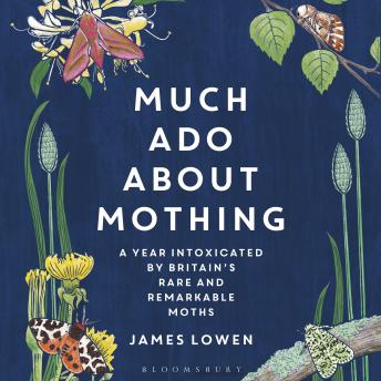 Much Ado About Mothing: A year intoxicated by Britain’s rare and remarkable moths