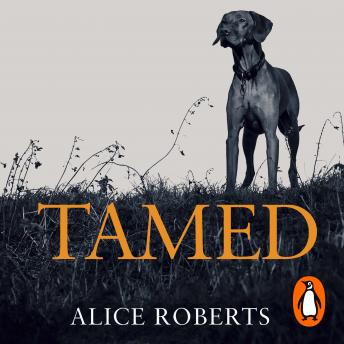 Tamed: Ten Species that Changed our World sample.