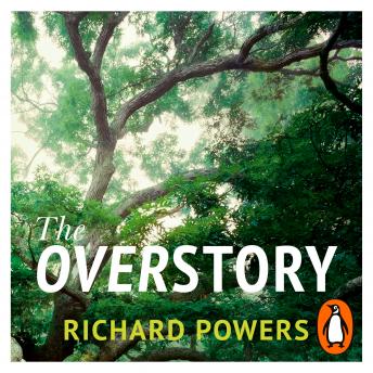 Download Overstory: The million-copy global bestseller and winner of the Pulitzer Prize for Fiction by Richard Powers
