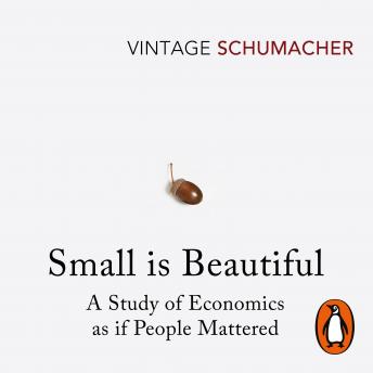 Download Small Is Beautiful: A Study of Economics as if People Mattered by E F Schumacher