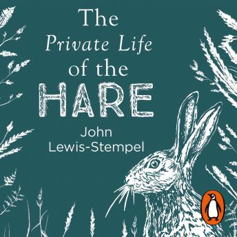 Private Life of the Hare, Audio book by John Lewis-Stempel
