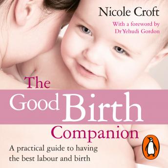 The Good Birth Companion: A Practical Guide to Having the Best Labour and Birth