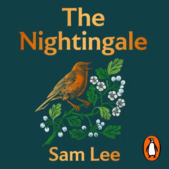 The Nightingale: ‘The nature book of the year’