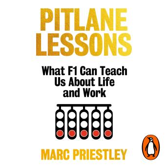 The Pitlane Lessons: What F1 Can Teach You About Life and Work