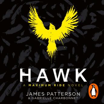 Hawk: A Maximum Ride Novel: (Hawk 1)
