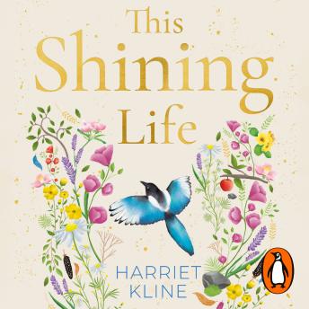 this shining life: a powerful novel about treasuring life