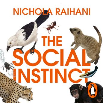 Listen to The Social Instinct: How Cooperation Shaped the World by Nichola Raihani episode artwork