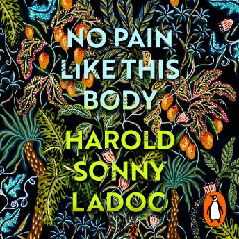 Get Lost In The Full Audiobook That Keeps Curious Minds Hooked.