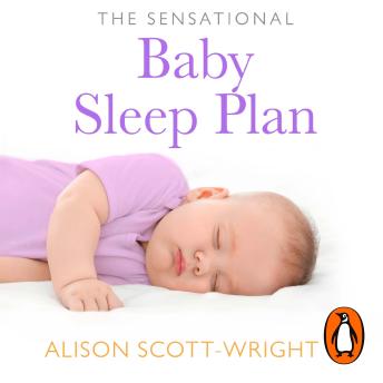The Sensational Baby Sleep Plan: a practical guide to sleep-rich and stress-free parenting from recognised sleep guru Alison Scott-Wright
