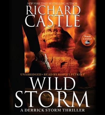 Wild Storm: A Derrick Storm Thriller, Richard Castle