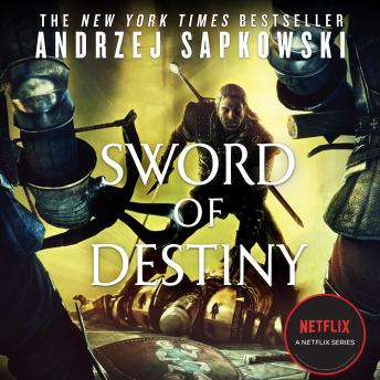 Download Sword of Destiny by Andrzej Sapkowski
