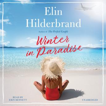 Download Winter in Paradise by Elin Hilderbrand