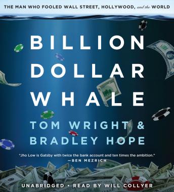 Billion Dollar Whale audiobook