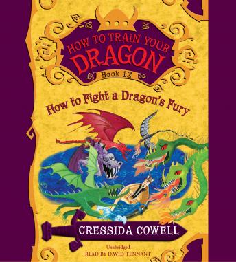 How to Train Your Dragon:  How to Fight a Dragon's Fury