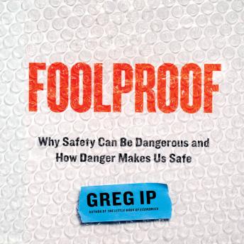 Foolproof: Why Safety Can Be Dangerous and How Danger Makes Us Safe